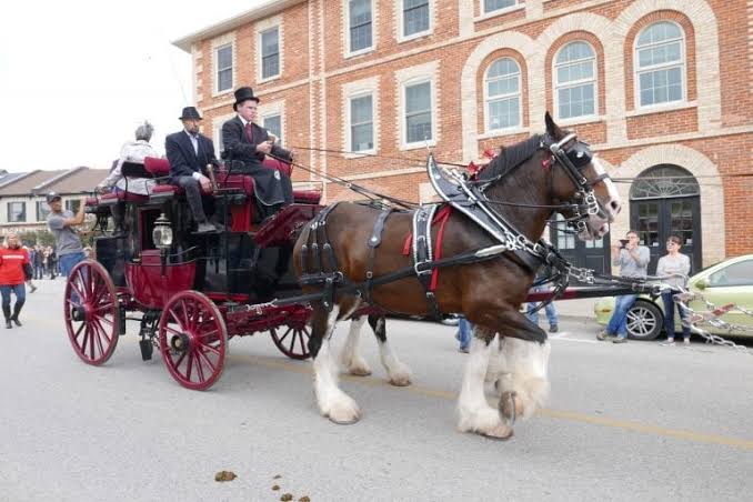 Plan a Mini Vacation in Wellington County A Festival Weekend Blueprint