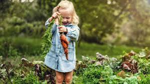 Markets and Food Festivals A Taste-First Guide to Wellington County