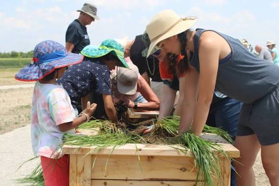 Agriculture, Home and Garden Events Celebrating Wellington County’s Rural Roots